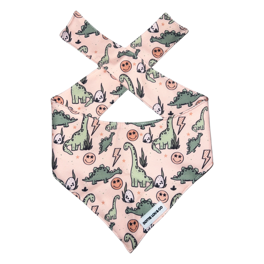 Dinosaur Bandana