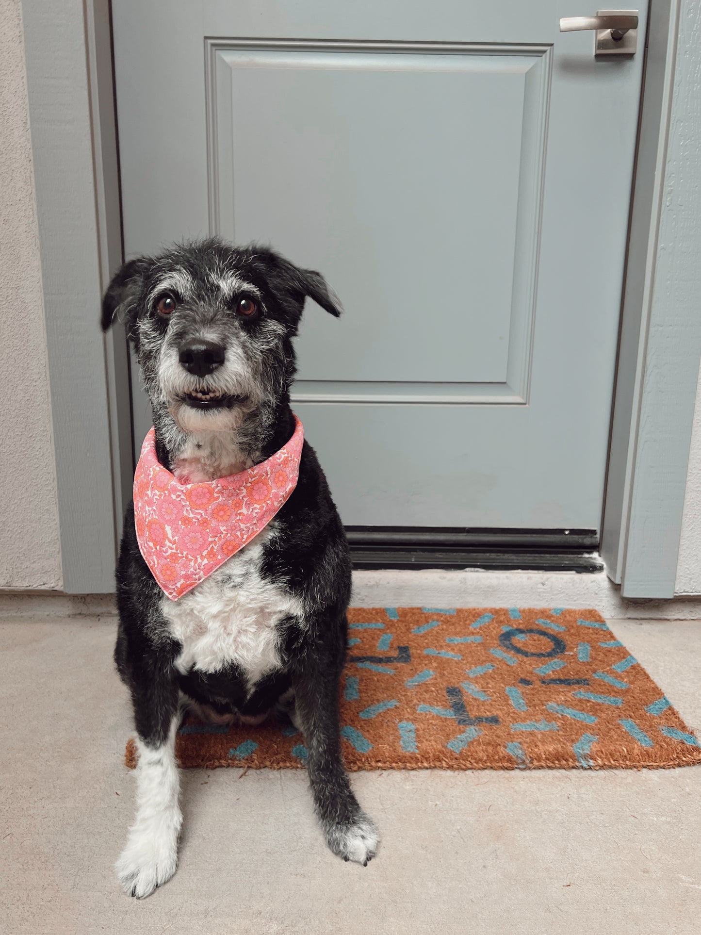 Floral Reversible Bandana