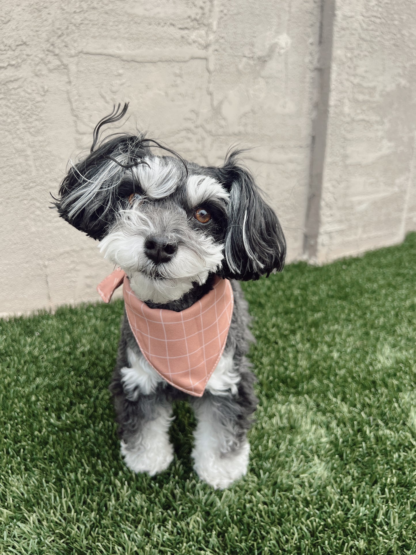 Geo Reversible Bandana